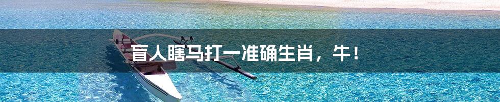 盲人瞎马打一准确生肖,牛!