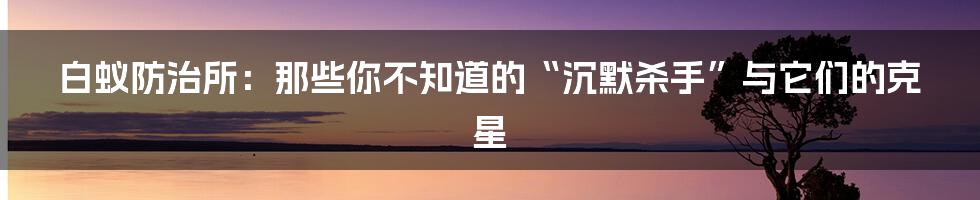 白蚁防治所:那些你不知道的“沉默杀手”与它们的克星