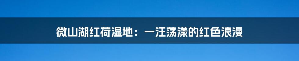 微山湖红荷湿地:一汪荡漾的红色浪漫