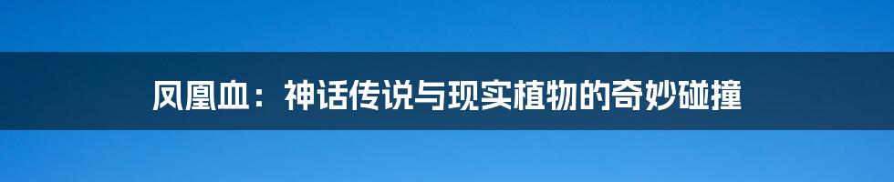 凤凰血:神话传说与现实植物的奇妙碰撞