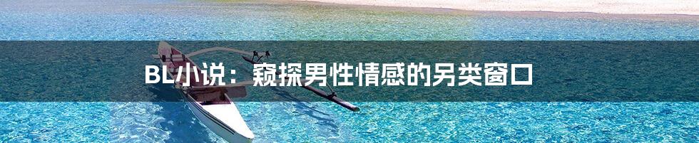 BL小说：窥探男性情感的另类窗口