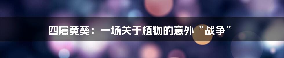 四屠黄葵:一场关于植物的意外“战争”