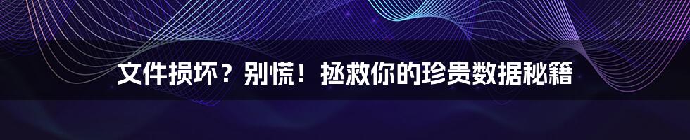 文件损坏?别慌!拯救你的珍贵数据秘籍