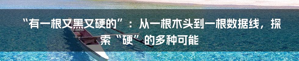 “有一根又黑又硬的”:从一根木头到一根数据线,探索“硬”的多种可能