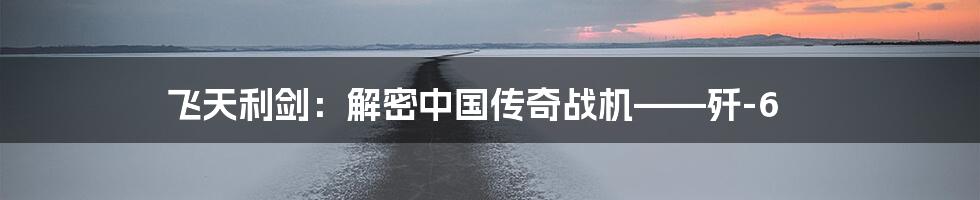 飞天利剑：解密中国传奇战机——歼-6