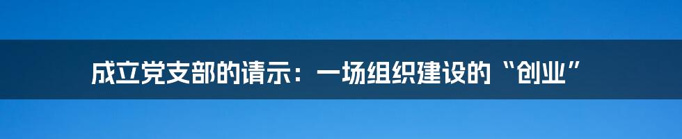 成立党支部的请示:一场组织建设的“创业”