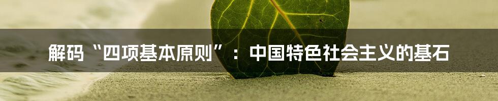 解码“四项基本原则”:中国特色社会主义的基石