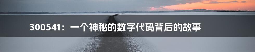 300541:一个神秘的数字代码背后的故事