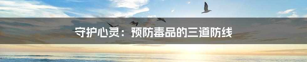 守护心灵：预防毒品的三道防线