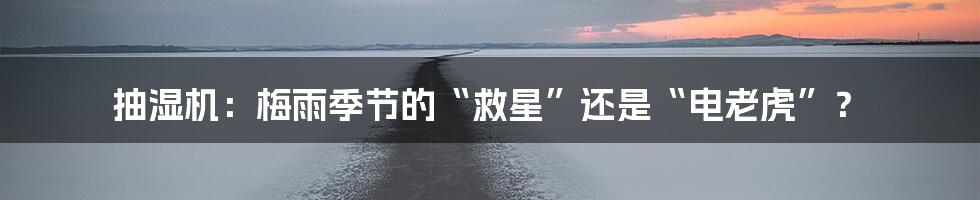 抽湿机:梅雨季节的“救星”还是“电老虎”?