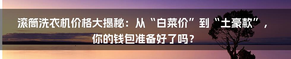 滚筒洗衣机价格大揭秘：从“白菜价”到“土豪款”，你的钱包准备好了吗？