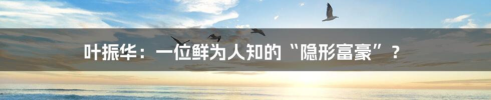 叶振华:一位鲜为人知的“隐形富豪”?