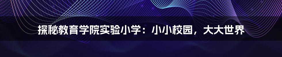 探秘教育学院实验小学：小小校园，大大世界