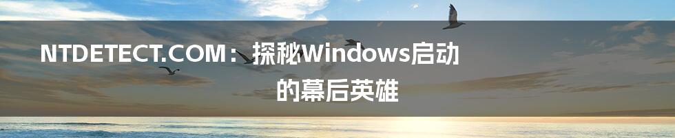 NTDETECT.COM:探秘Windows启动的幕后英雄