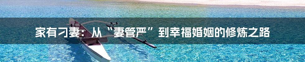 家有刁妻：从“妻管严”到幸福婚姻的修炼之路