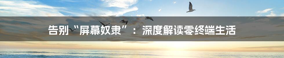 告别“屏幕奴隶”:深度解读零终端生活