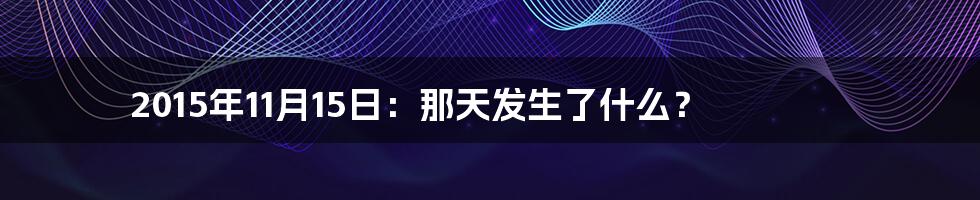 2015年11月15日：那天发生了什么？