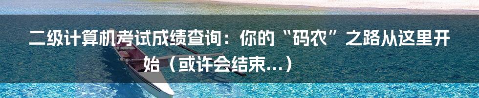 二级计算机考试成绩查询:你的“码农”之路从这里开始(或许会结束...)