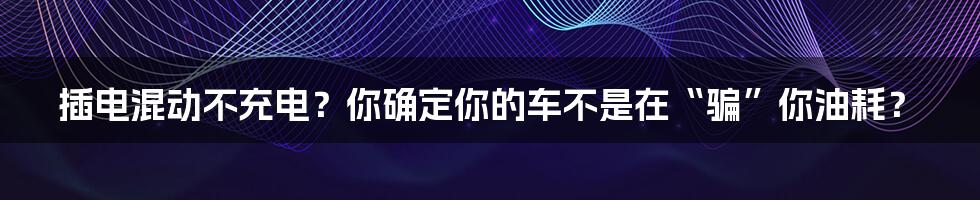 插电混动不充电?你确定你的车不是在“骗”你油耗?