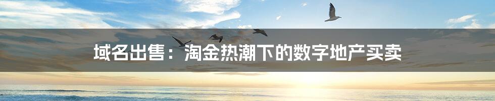 域名出售:淘金热潮下的数字地产买卖