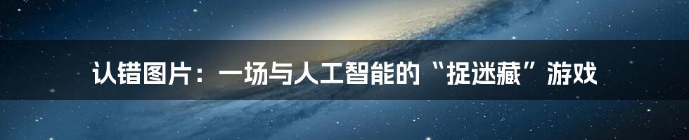 认错图片：一场与人工智能的“捉迷藏”游戏