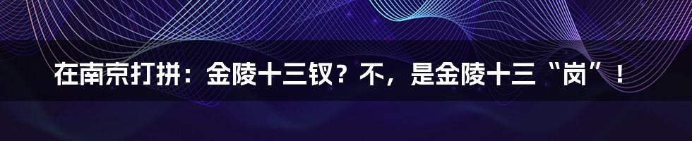 在南京打拼：金陵十三钗？不，是金陵十三“岗”！