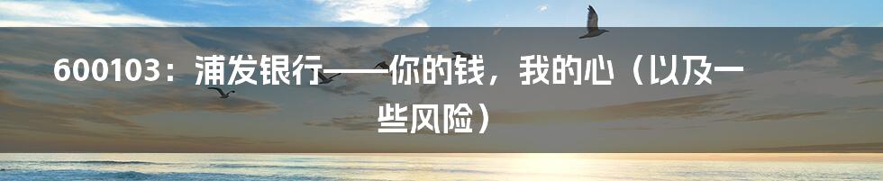 600103：浦发银行——你的钱，我的心（以及一些风险）