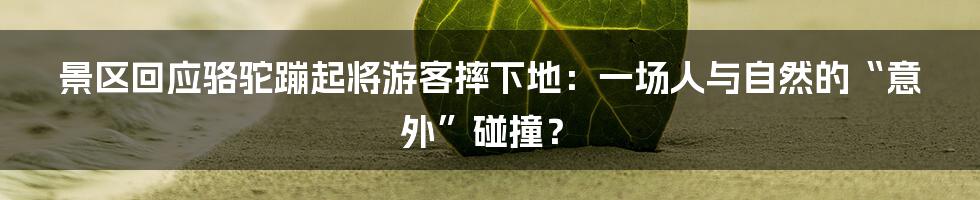 景区回应骆驼蹦起将游客摔下地:一场人与自然的“意外”碰撞?