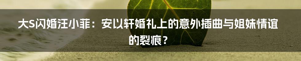 大S闪婚汪小菲:安以轩婚礼上的意外插曲与姐妹情谊的裂痕?