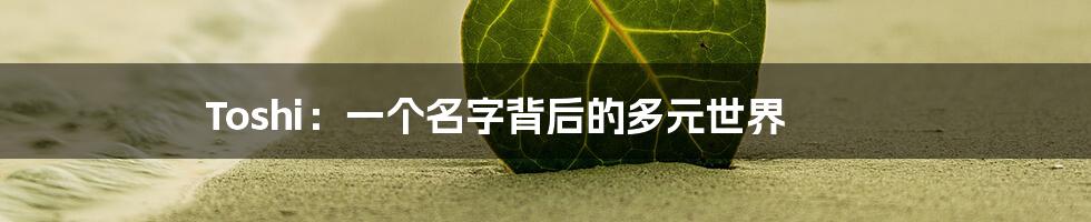 Toshi：一个名字背后的多元世界