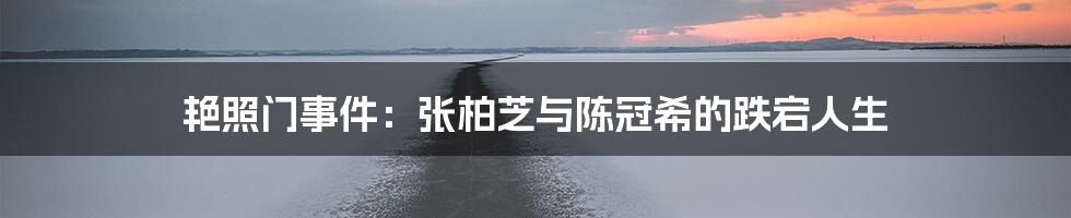 艳照门事件:张柏芝与陈冠希的跌宕人生