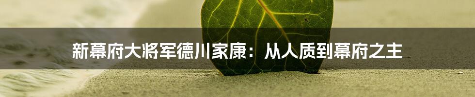 新幕府大将军德川家康:从人质到幕府之主