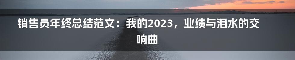 销售员年终总结范文:我的2023,业绩与泪水的交响曲