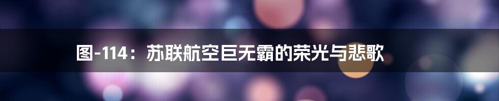 图-114:苏联航空巨无霸的荣光与悲歌