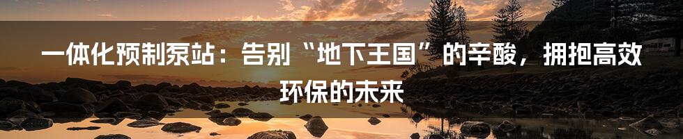 一体化预制泵站：告别“地下王国”的辛酸，拥抱高效环保的未来