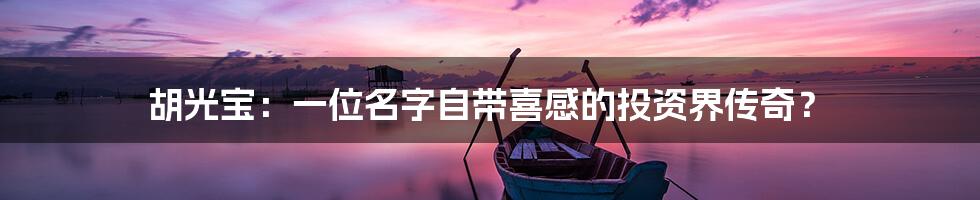 胡光宝:一位名字自带喜感的投资界传奇?