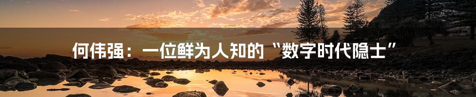 何伟强：一位鲜为人知的“数字时代隐士”