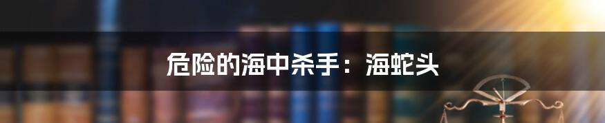危险的海中杀手：海蛇头