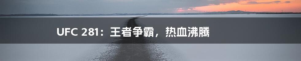 UFC 281:王者争霸,热血沸腾