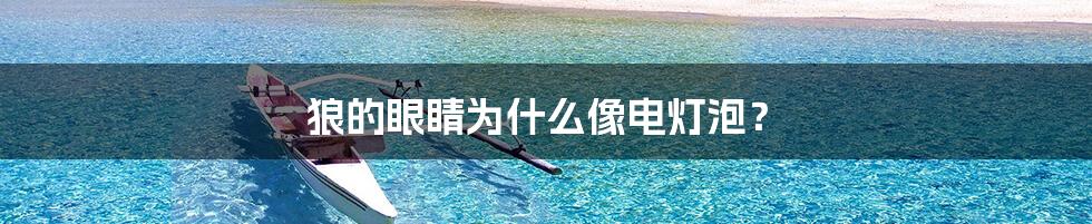 狼的眼睛为什么像电灯泡?