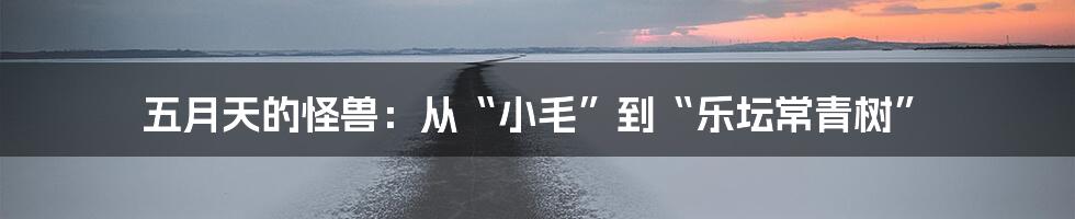 五月天的怪兽:从“小毛”到“乐坛常青树”