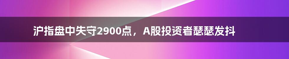 沪指盘中失守2900点，A股投资者瑟瑟发抖