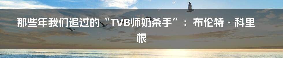 那些年我们追过的“TVB师奶杀手”：布伦特·科里根