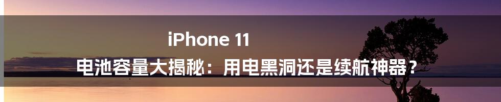 iPhone 11 电池容量大揭秘：用电黑洞还是续航神器？