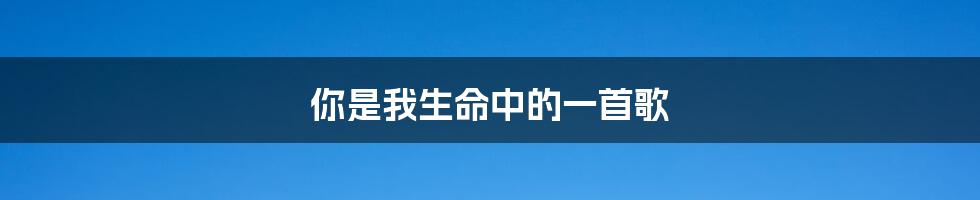 你是我生命中的一首歌