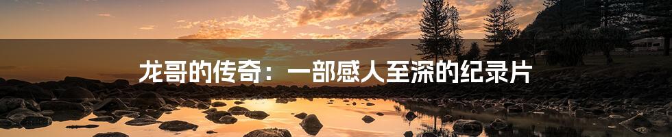 龙哥的传奇:一部感人至深的纪录片
