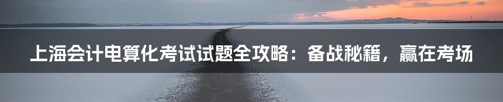 上海会计电算化考试试题全攻略：备战秘籍，赢在考场
