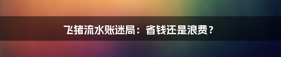 飞猪流水账迷局：省钱还是浪费？