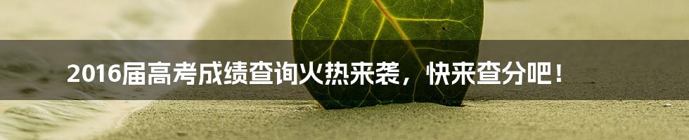 2016届高考成绩查询火热来袭,快来查分吧!
