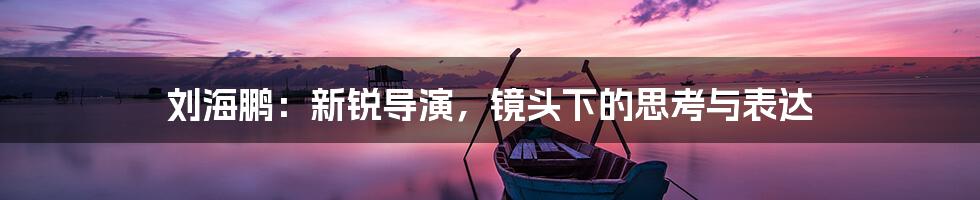 刘海鹏：新锐导演，镜头下的思考与表达